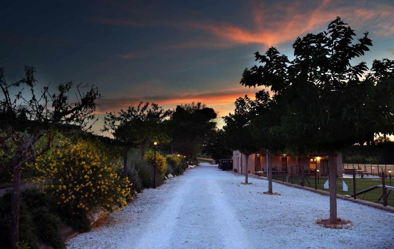 Casa Montefiore 13 Girasoli LT nella tranquilla campagna Marchigiana Ancona Esterno foto