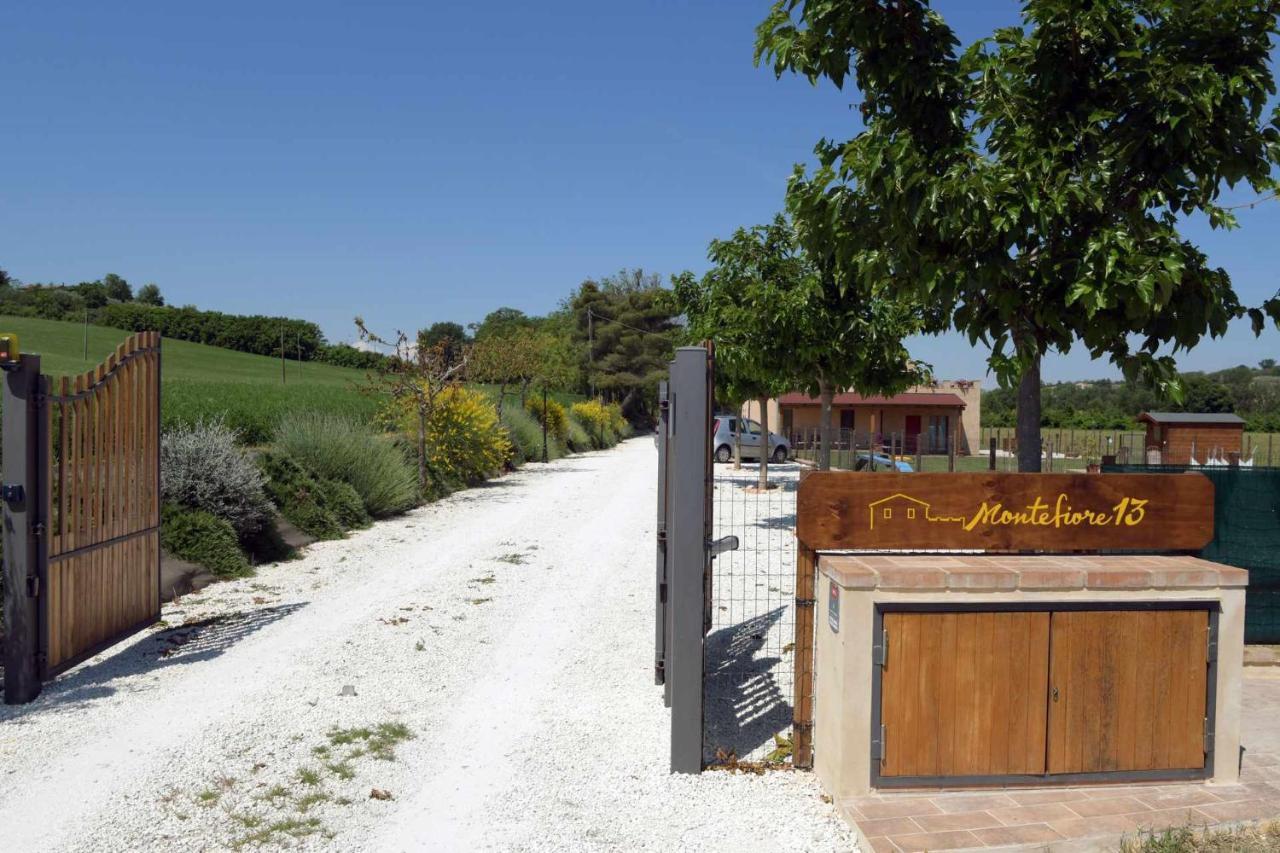 Casa Montefiore 13 Girasoli LT nella tranquilla campagna Marchigiana Ancona Esterno foto