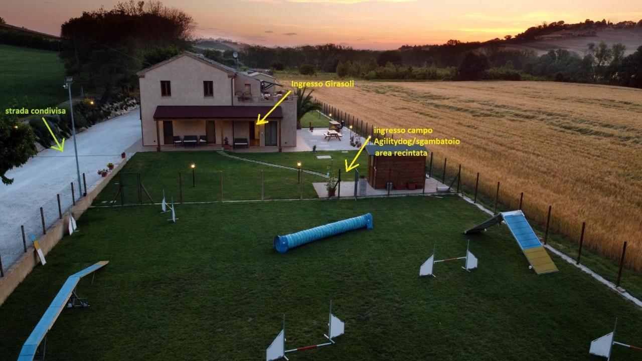 Casa Montefiore 13 Girasoli LT nella tranquilla campagna Marchigiana Ancona Esterno foto